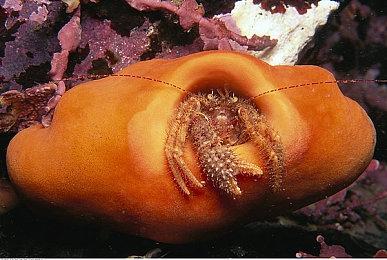 steam夏促史低游戏推荐 迅游助力畅玩游戏